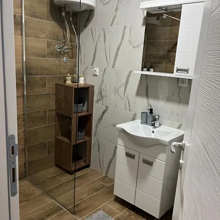 Apartment Andrejic *