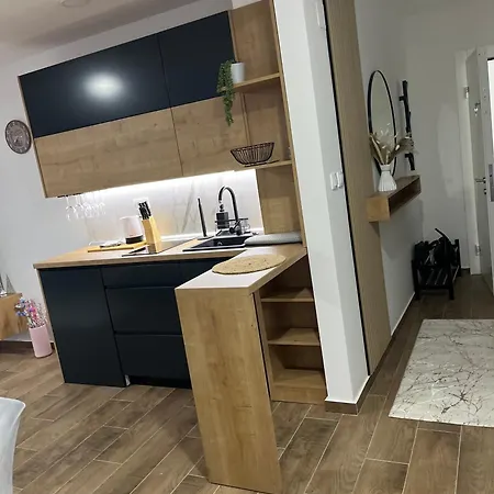 Apartment Andrejic *