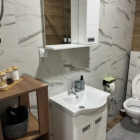 Apartment Andrejic