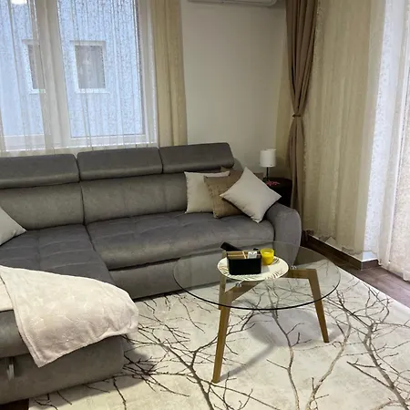 Andrejic Apartment Veliko Gradiste