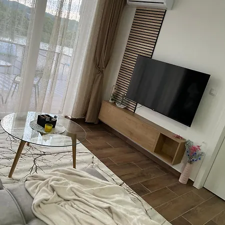 Apartment Andrejic