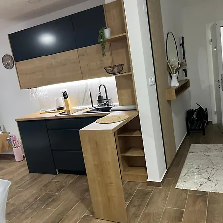 Apartment Andrejic